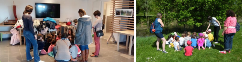 Sorties pédagogiques pour les scolaires avec l'Observatoire Loire