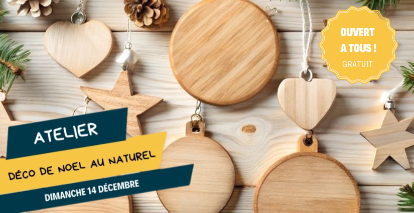 Décoration de Noël au naturel - Maison de la Loire (Saint-Dié-sur-Loire)