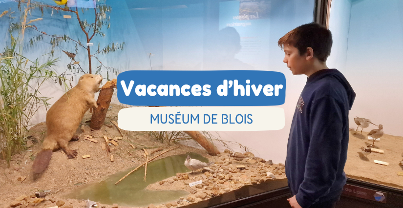 Vacances d’hiver 2026 au Muséum d’Histoire Naturelle de Blois : expo et animations pour toute la famille