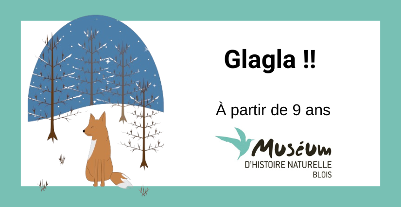 Glagla !! Animation enfant +9 ans - Muséum de Blois