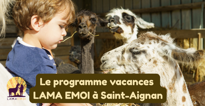 Les vacances de printemps chez Lama Émoi à Saint-Aignan : une immersion nature en famille
