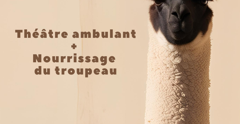 Théâtre ambulant "le printemps des lamas" et visite/nourrissage - Ferme Lama Emoi à Saint-Aignan