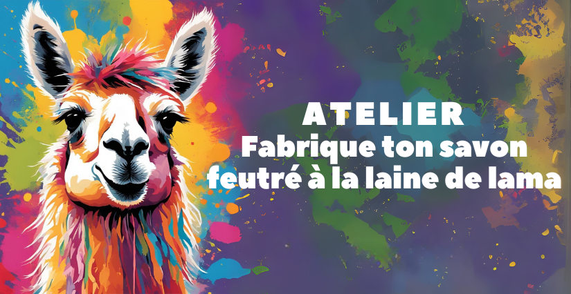 Atelier créatif "fabrique ton savon feutré à la laine des lamas" à la ferme Lama Émoi