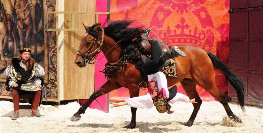 Spectacle Chevaux et Rapaces au Château de Chambord