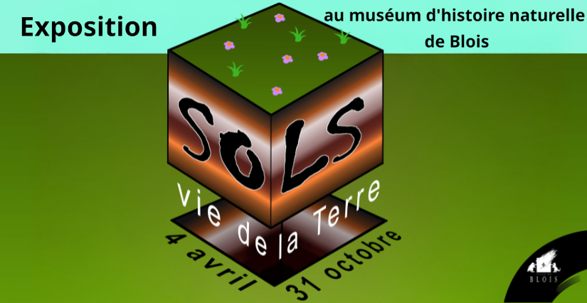 Exposition Sols : vie de la Terre au Muséum de Blois