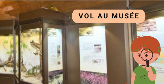 Vol au musée, enquête et atelier bricolage pour les enfants au Muséum de Blois kidklikl 41 vacances d'hiver