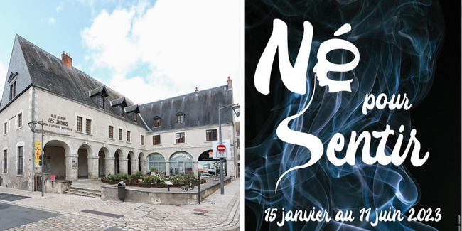 "Né pour sentir", la nouvelle exposition à voir en famille au Muséum de Blois kidklik 41