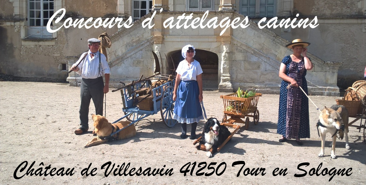 Concours d'attelages canins au château de Villesavin