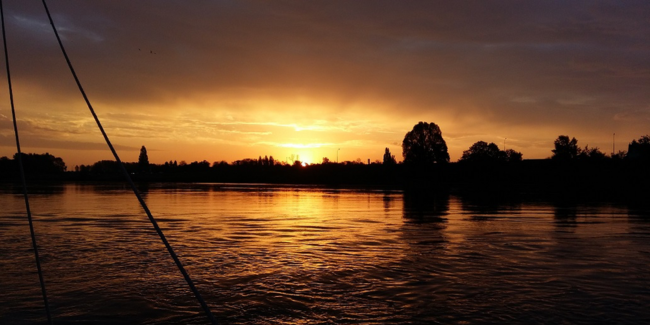 Balade crépusculaire avec L'Observatoire Loire à Blois