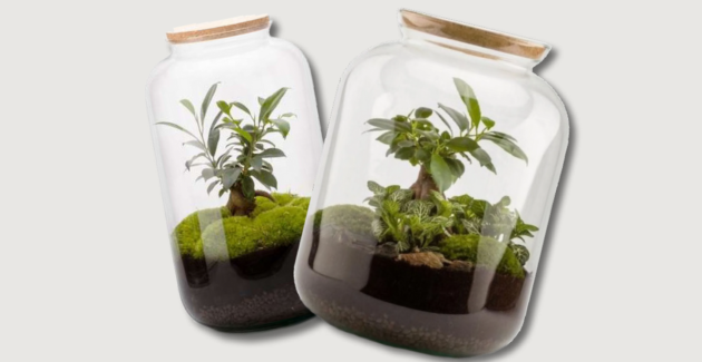 Jardin in vitro : atelier en famille au Domaine de Chaumont-sur-Loire