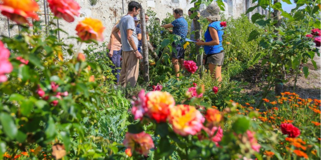 Visite des jardins-potagers du Château de Chambord