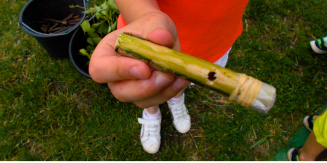 Musique verte : atelier nature en famille par le CDPNE, près de Blois