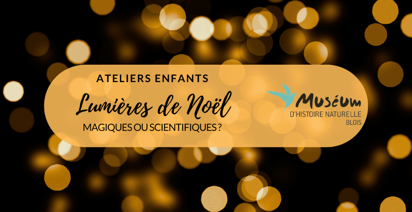 Les lumières de Noël, magiques ou scientifiques ? Atelier enfant au Muséum d'histoire naturelle de Blois