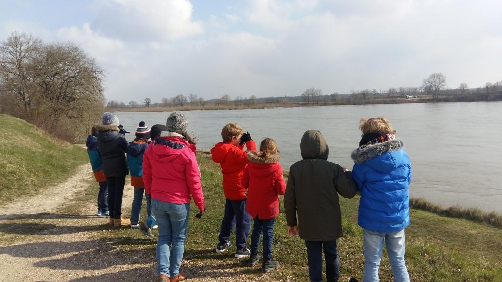 Stage vagabond : "La Loire se réveille", stage enfant avec l'Observatoire Loire