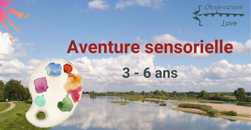 Aventure sensorielle : atelier pour les enfants de 3 à 6 ans à l'Observatoire Loire