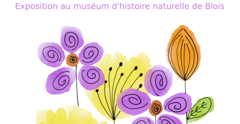 Petite Fleur, nouvelle exposition au Muséum d'Histoire Naturelle de Blois