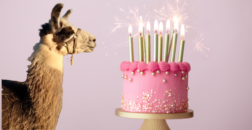 Un anniversaire d'enfants avec les lamas et alpagas !
