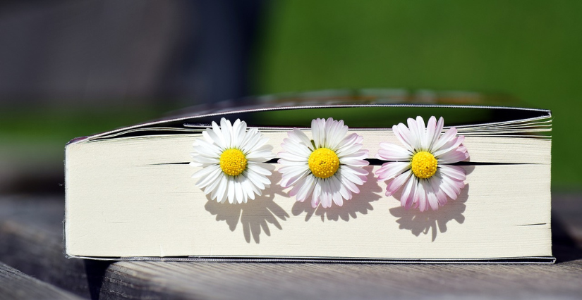 Lectures de petites fleurs au Muséum d'Histoire Naturelle de Blois