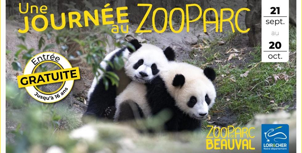 Beauval gratuit pour les moins de 16 ans : Opération spéciale du département du Loir-et-Cher pour ses habitants