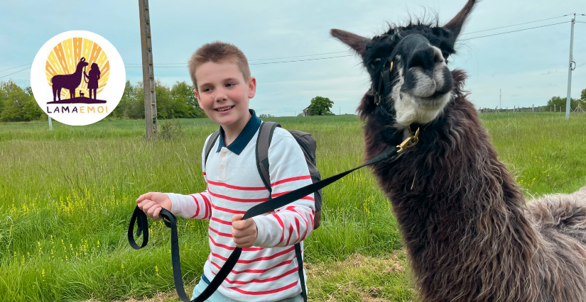 Balade en famille avec les Camélidés de la ferme Lama Émoi à Saint-Aignan