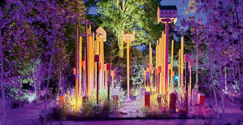 Nocturnes au jardin : promenades poétiques dans les jardins du Festival au Domaine de Chaumont-sur-Loire
