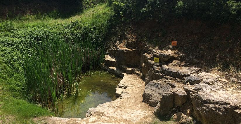 L'eau et la réserve naturelle régionale géologique de Pontlevoy Fête de la Science 2024 : L'eau et la réserve naturelle régionale géologique de Pontlevoy