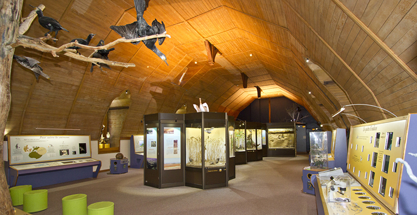 Fête de la Science 2024 : Visite libre du Muséum d'Histoire Naturelle de Blois