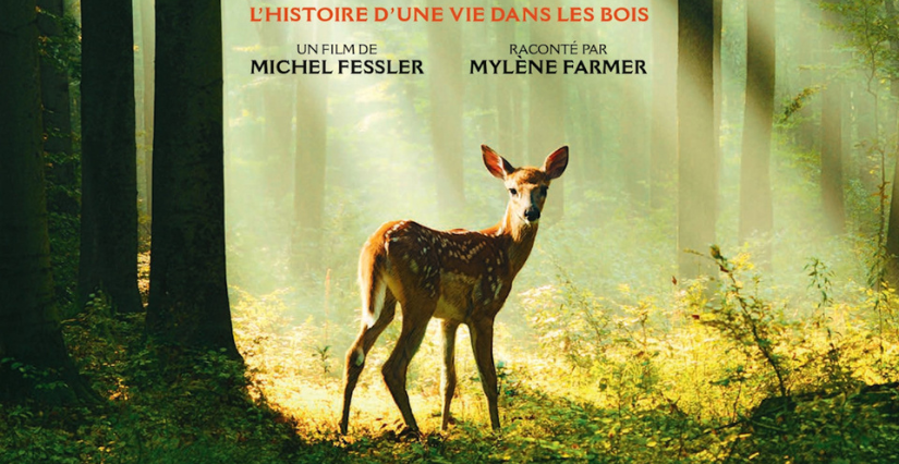 Film + animation : Bambi, au Cinéma Le Régent à Montrichard