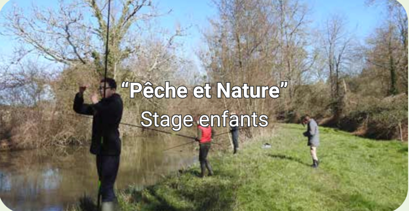 Stage enfant "Pêche et nature" avec l'Observatoire Loire