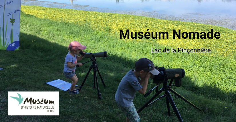 Muséum nomade au lac de la Pinçonnière – Blois
