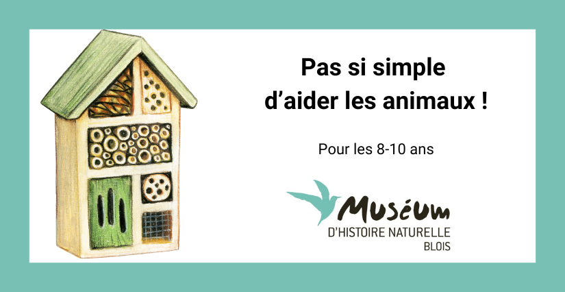 Pas si simple d’aider les animaux – Muséum d’Histoire Naturelle de Blois