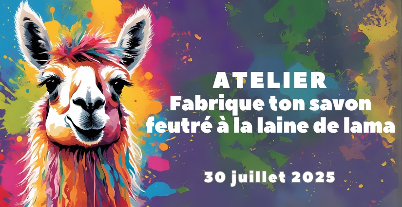 Atelier créatif : fabrique ton savon feutré - Lama Émoi (Saint-Aignan)