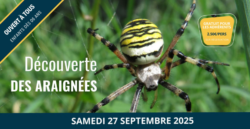 Balade "Découverte des araignées" - Maison de la Loire 41