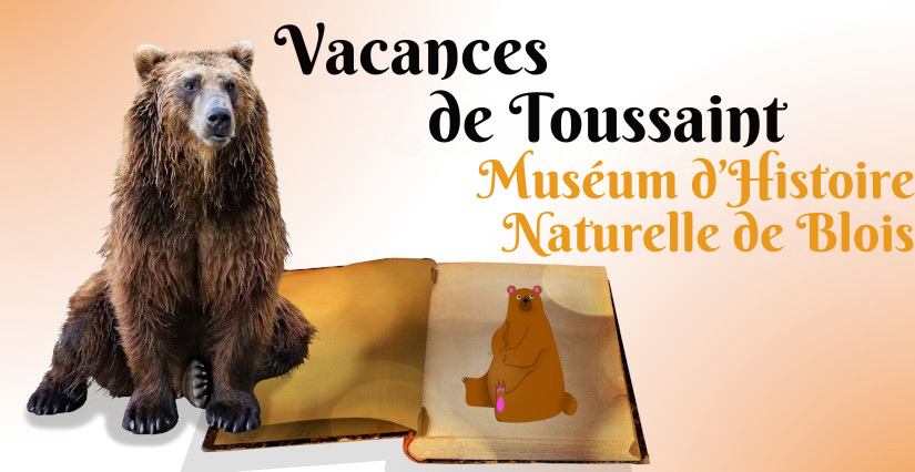 Vacances de la Toussaint au Muséum d’Histoire Naturelle (Blois)