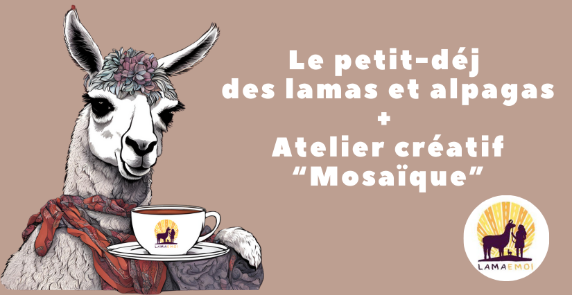 Petit-déj' des lamas + atelier déco Noël en mosaïque - Lama Emoi à Saint-Aignan