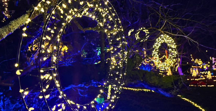 Nuits des Lumières d’hiver – Chouzy-sur-Cisse (Valloire-sur-Cisse)