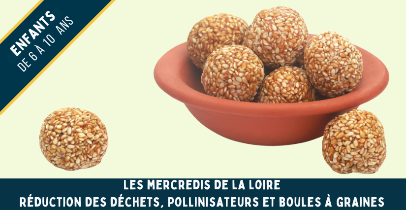 Réduction des déchets, pollinisateurs et boules à graines - Les mercredis de la Loire avec la Maison de la Loire 41
