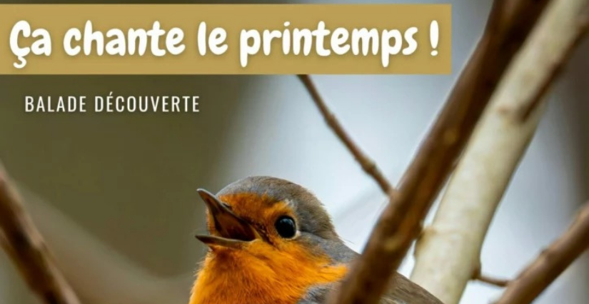 Ça chante le printemps ! Balade nature en famille avec la Maison de la Loire 41