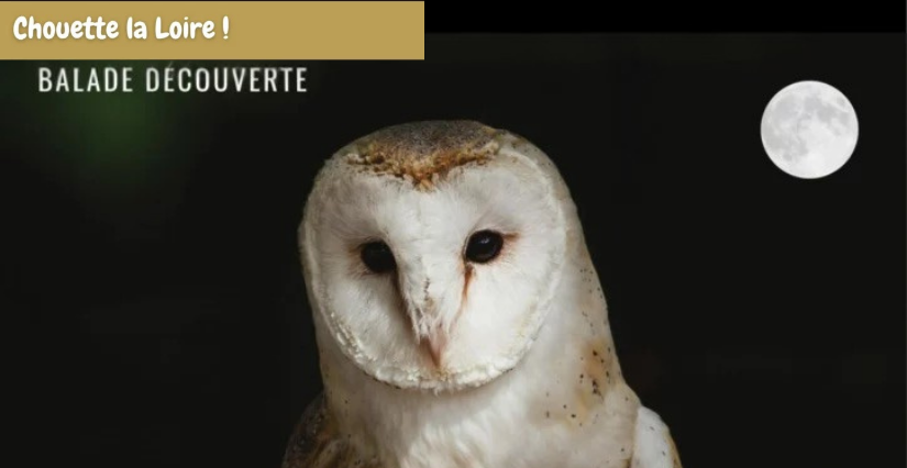 Chouette la Loire avec la Maison de la Loire 41