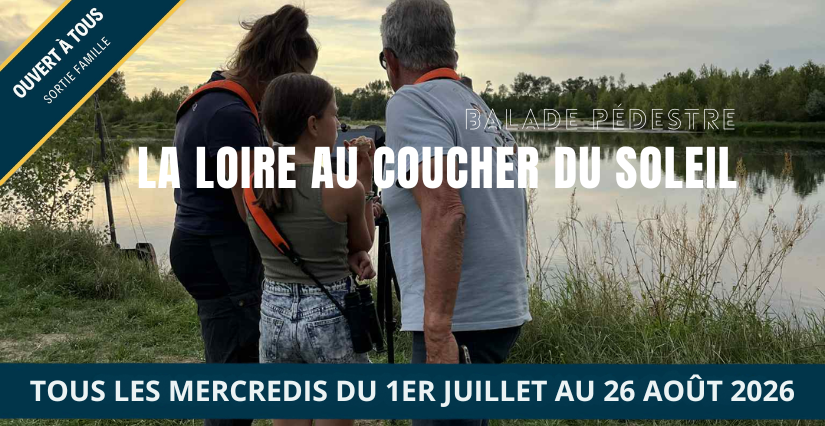 La Loire au coucher du soleil : balade pédestre en famille avec la Maison de la Loire