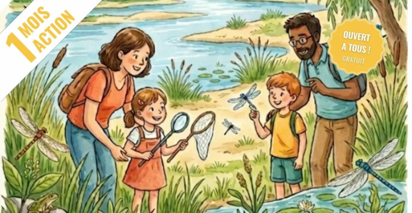 Libellules et demoiselles : Balade nature guidée en famille avec la Maison de la Loire du Loir-et-Cher