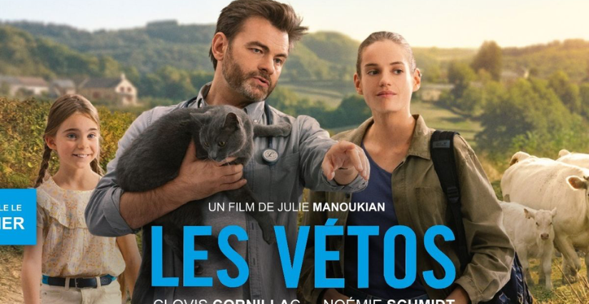 Cinéma de plein air "Les Vétos" à Chémery