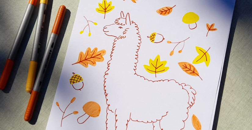 Petit-déj' des lamas + atelier "dessine ton lama" - Ferme Lama Emoi à Saint-Aignan