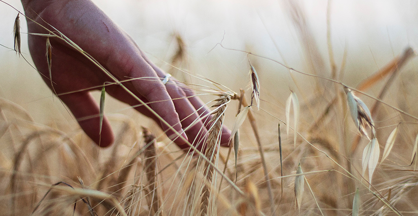 « 2050, Nourrir 10 milliards d’humains » : projection d’un documentaire à Châtres-sur-Cher