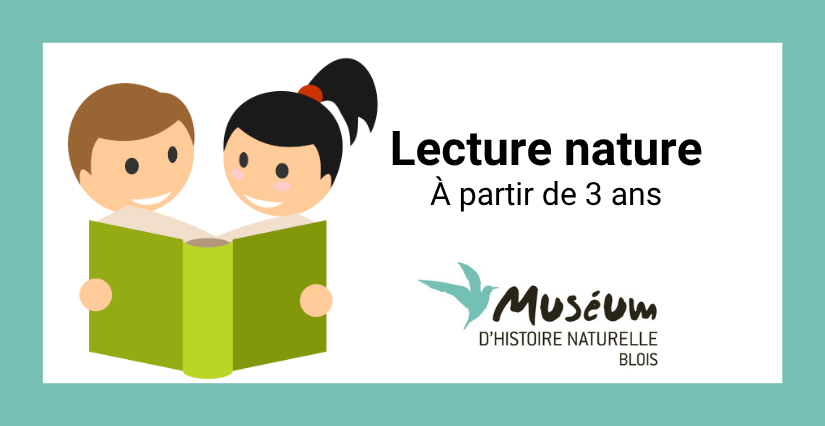Lecture nature | Vacances d’automne au muséum de Blois