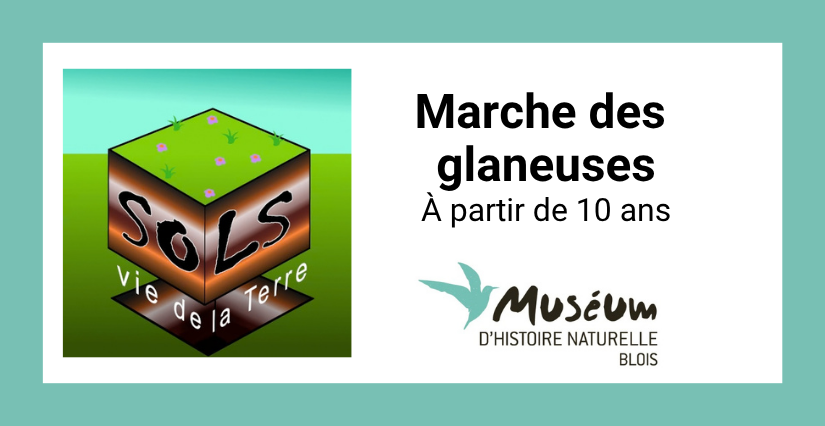 Marche des glaneuses au Muséum | Vacances d’automne à Blois