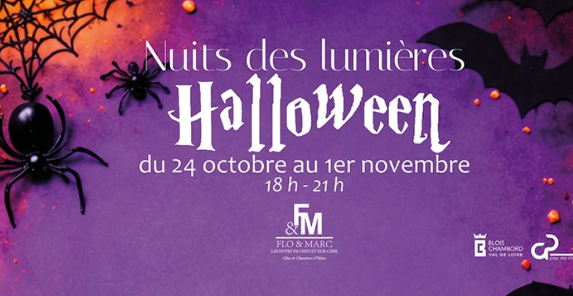 Nuit des lumières d'Halloween - Chouzy-sur-Cisse (Valloire-sur-Cisse)