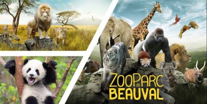 Le zoo de Beauval - Balades et Patrimoine