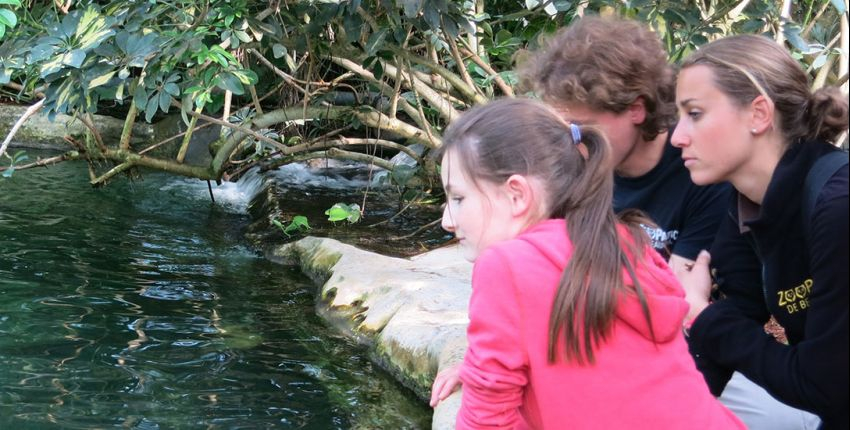 Soigneur Junior // Rencontre avec les animaux du Zoo de Beauval