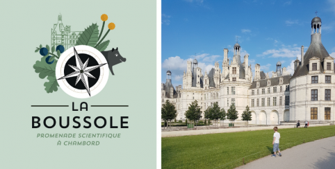 La Boussole // Application mobile pour se promener dans le domaine de Chambord